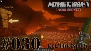 Playlist zu Minecraft: I will survive