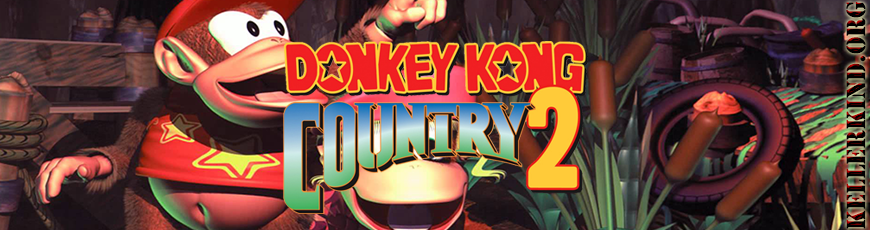 #021 – Donkey Kong Country 2 – Teil 2